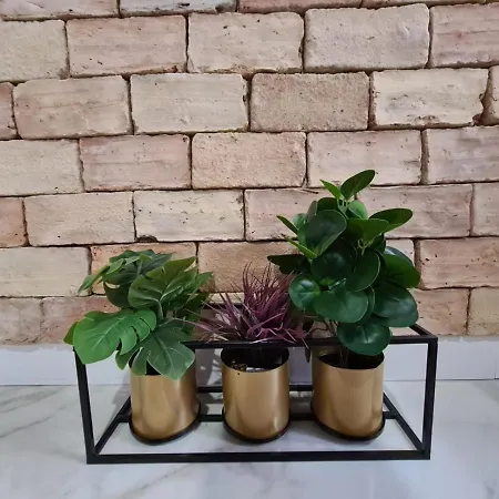 Premium Class Apartmant - Free Parking