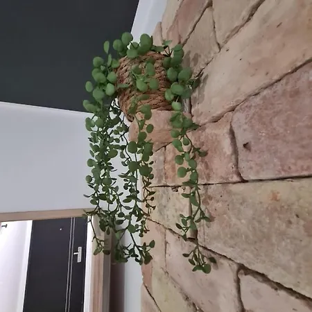 Premium Class Apartmant - Free Parking