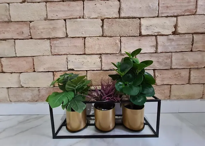 Premium Class Apartmant - Free Parking